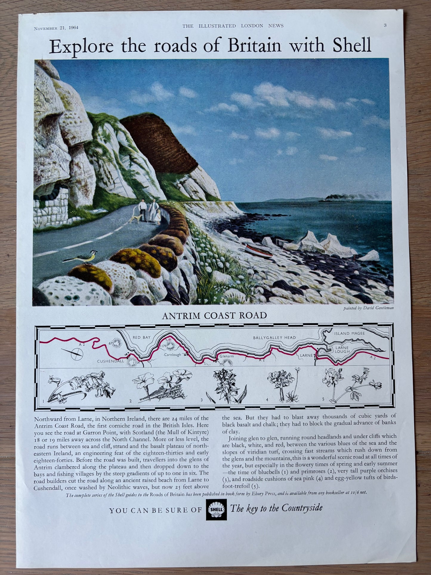 David Gentleman 1960's SHELL GUIDE TO ROADS OF BRITAIN ANTRIM COAST Large Advert