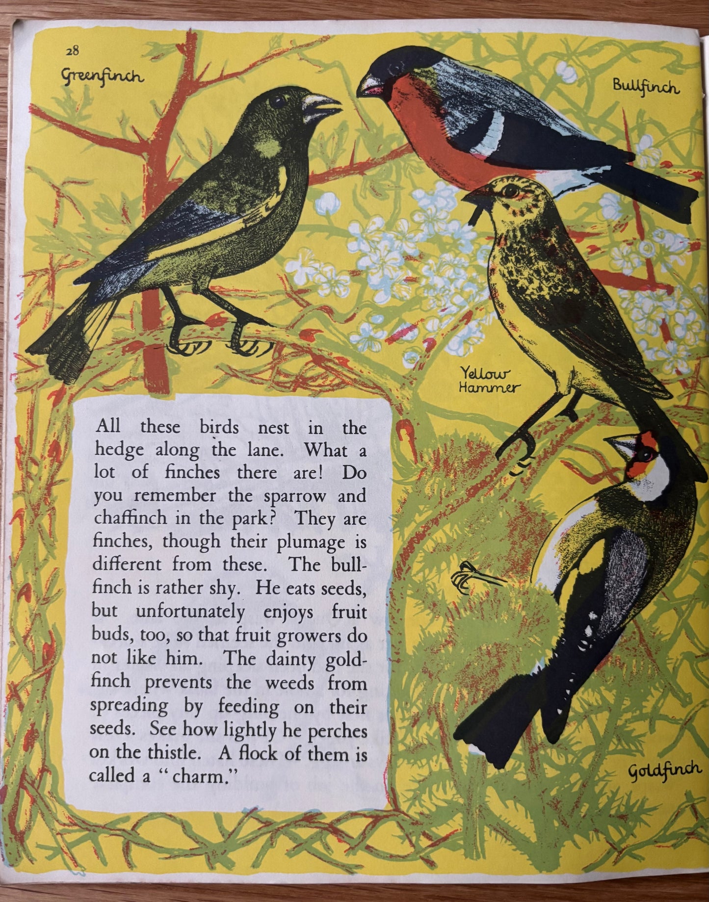Elsie Few OUT OF DOORS Chatto & Windus NATURE STUDY Jan -Apr Schools Book