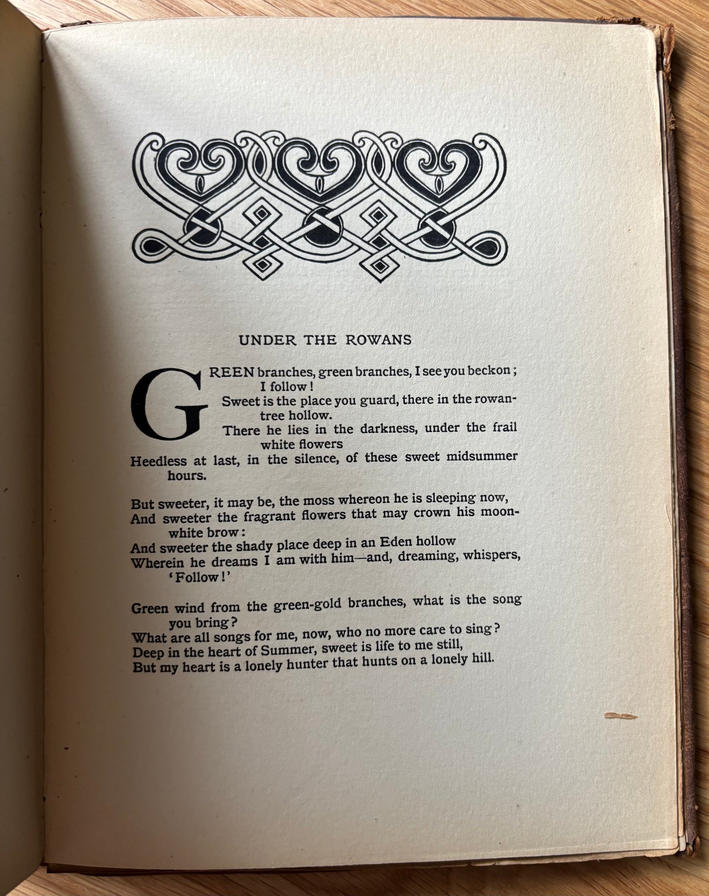 SCOTTISH ARTS & CRAFTS John Duncan CELTIC REVIVAL Evergreen PATRICK GEDDES 1896