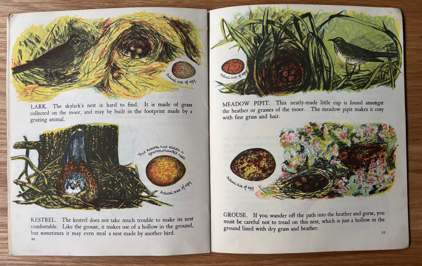 Elsie Few OUT OF DOORS Chatto & Windus NATURE STUDY Jan -Apr Schools Book