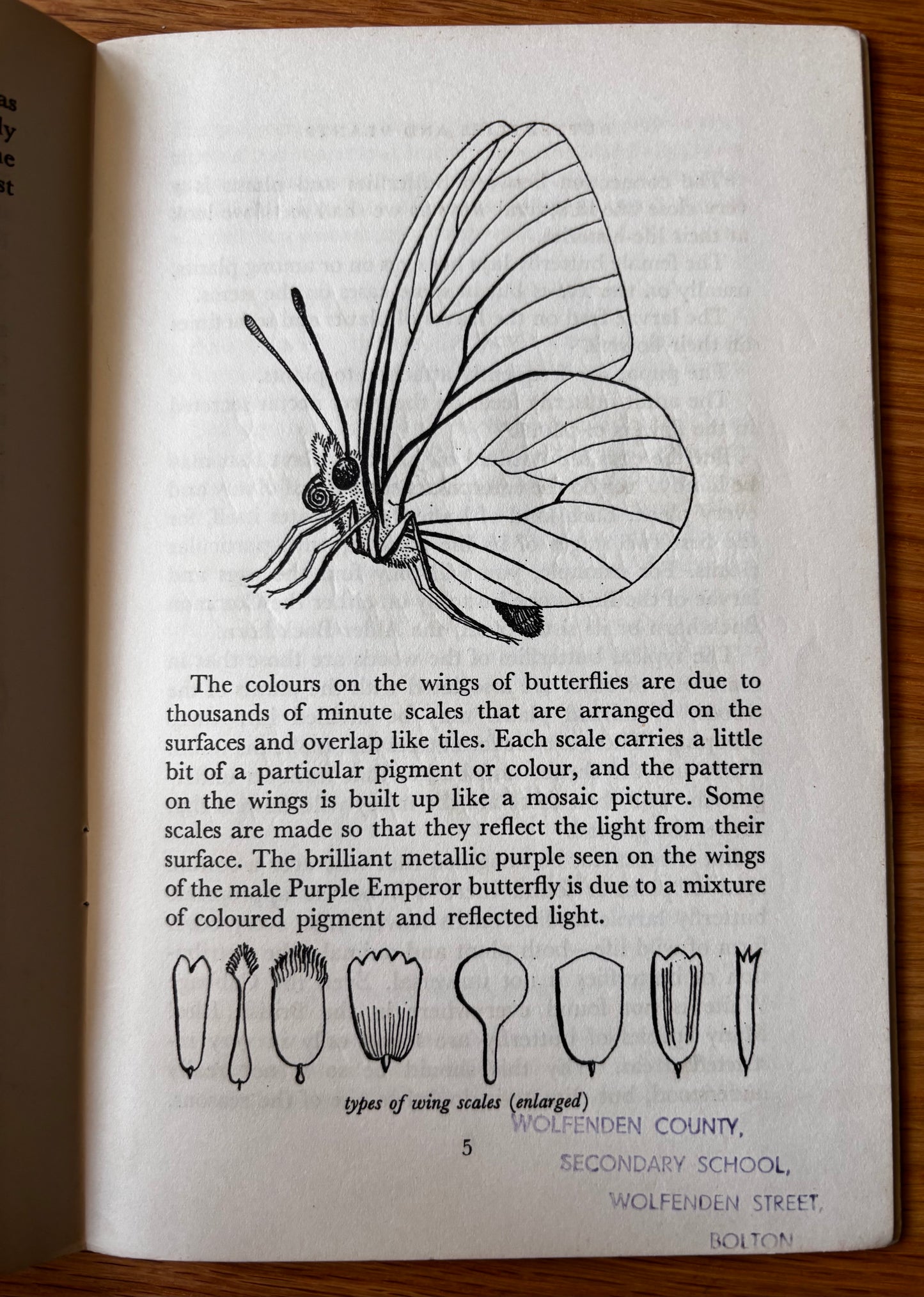 PANTOSCOPE BOOK Woodland Butterflies PAXTON CHADWICK 1st Ed 1959 Cassell