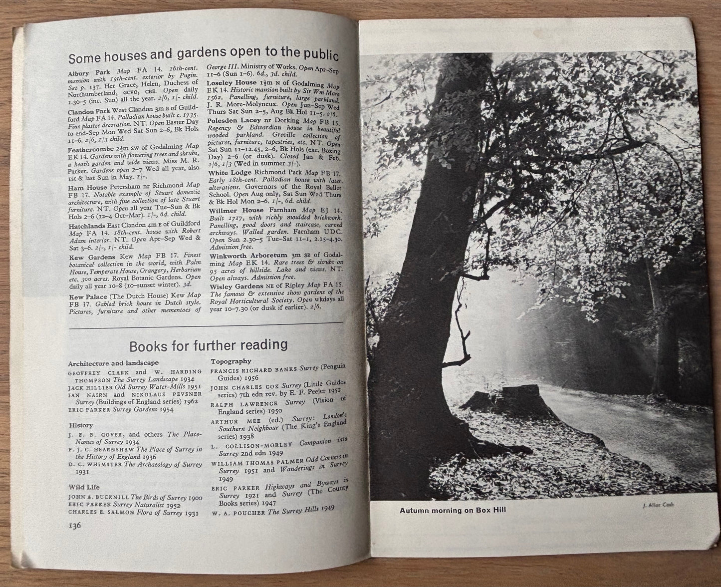 S R Badmin SURREY SHELL SHILLING GUIDE 1963 Illustrated