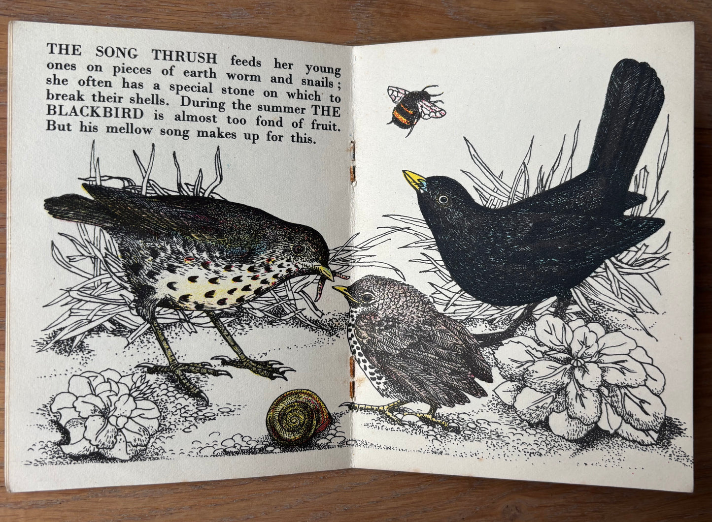 Richard Chopping A BOOK OF PAIRS Bantam Picture Book No 16 Transatlantic Arts Ltd