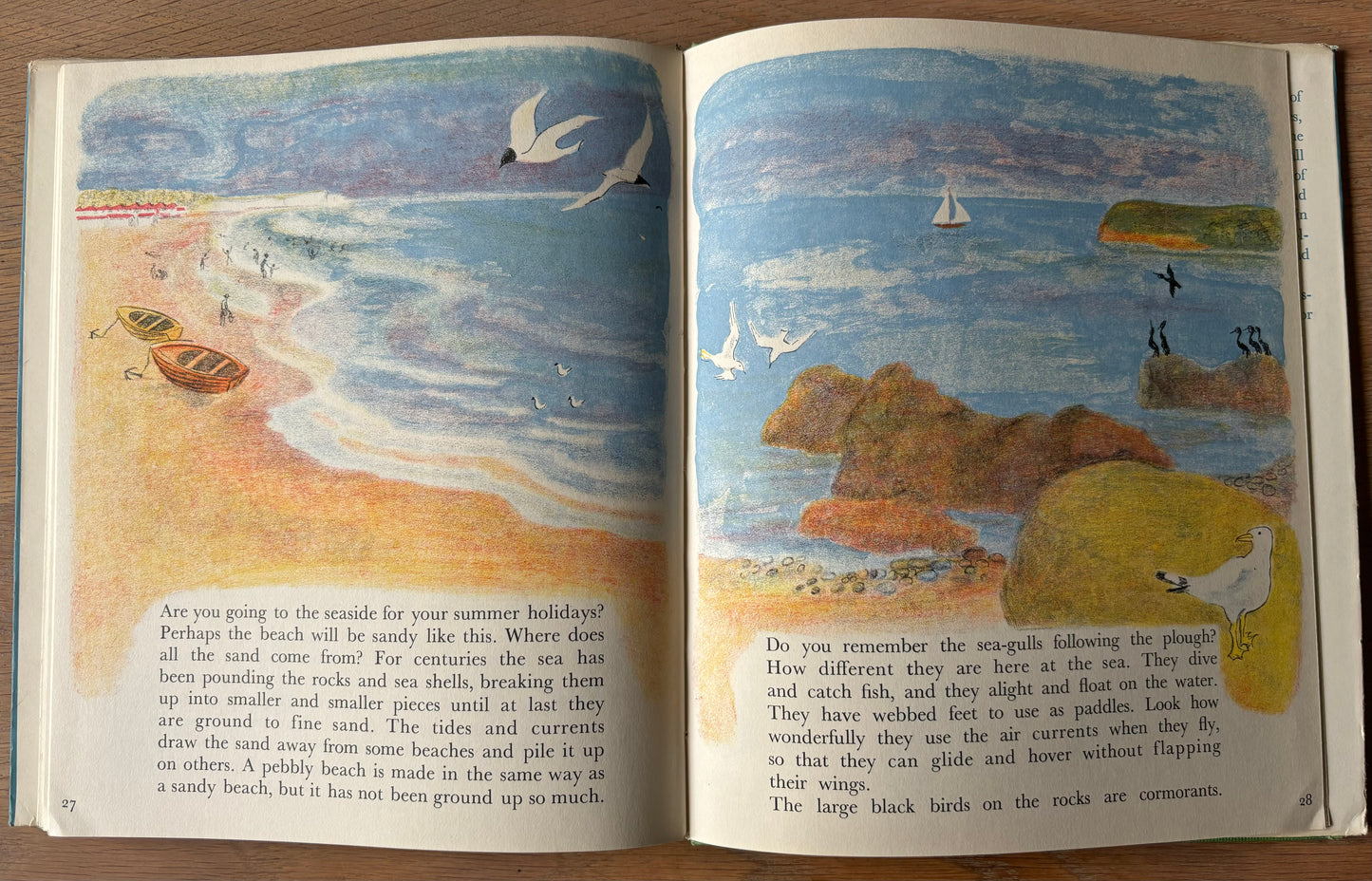 Trekkie Ritchie Parsons LIVING THINGS Chatto & Windus NATURE BOOK ILLUS - transpontinebooks