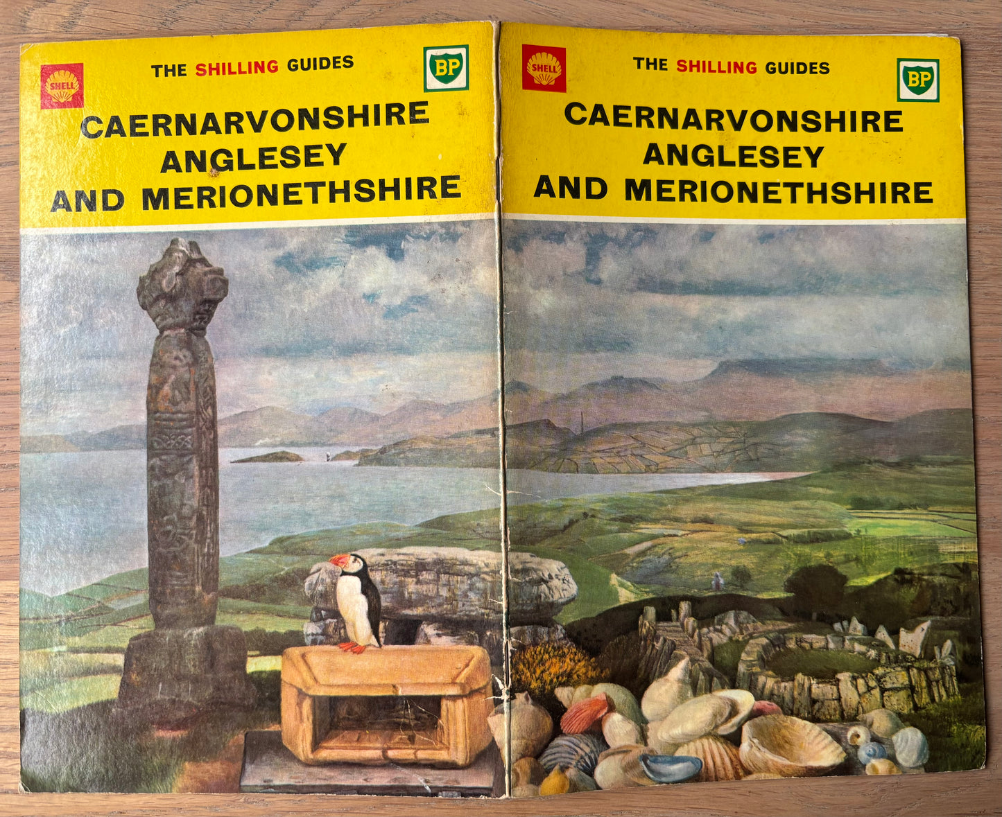 Richard Eurich CAERNVONSHIRE ANGLESEY SHELL SHILLING GUIDE 1964 Illustrated