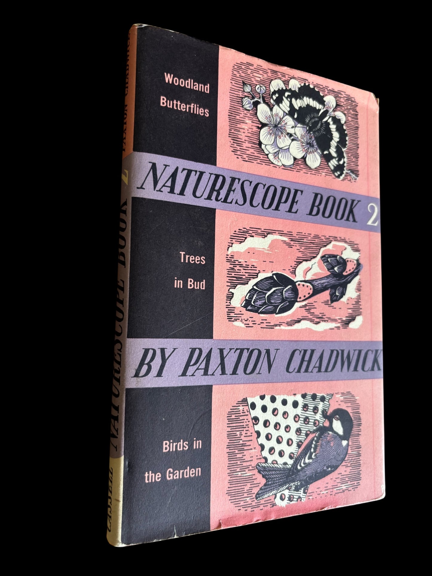 NATURESCOPE BOOK Trees Birds Butterflies PAXTON CHADWICK 1st Ed 1960 Cassell