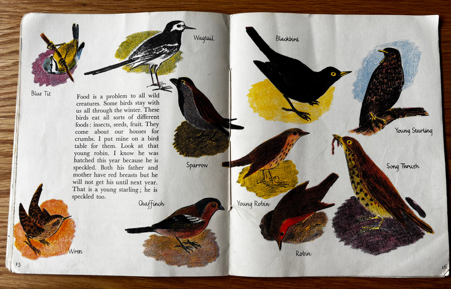 Trekkie Ritchie Parsons COME AND SEE IN AUTUMN Chatto & Windus NATURE BOOK Open Your Eyes