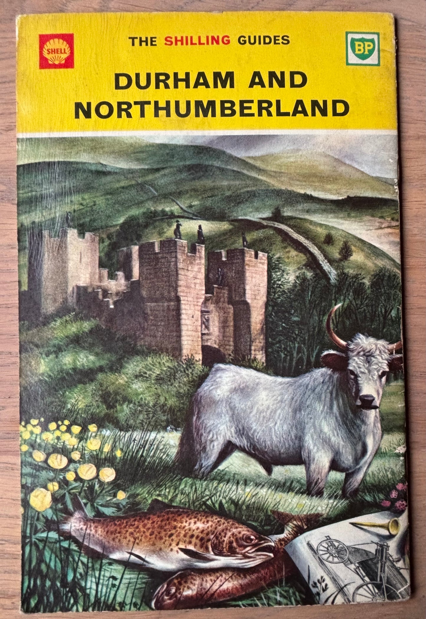 Barry Driscoll DURHAM & NORTHUMBERLAND SHELL SHILLING GUIDE 1964 Illustrated