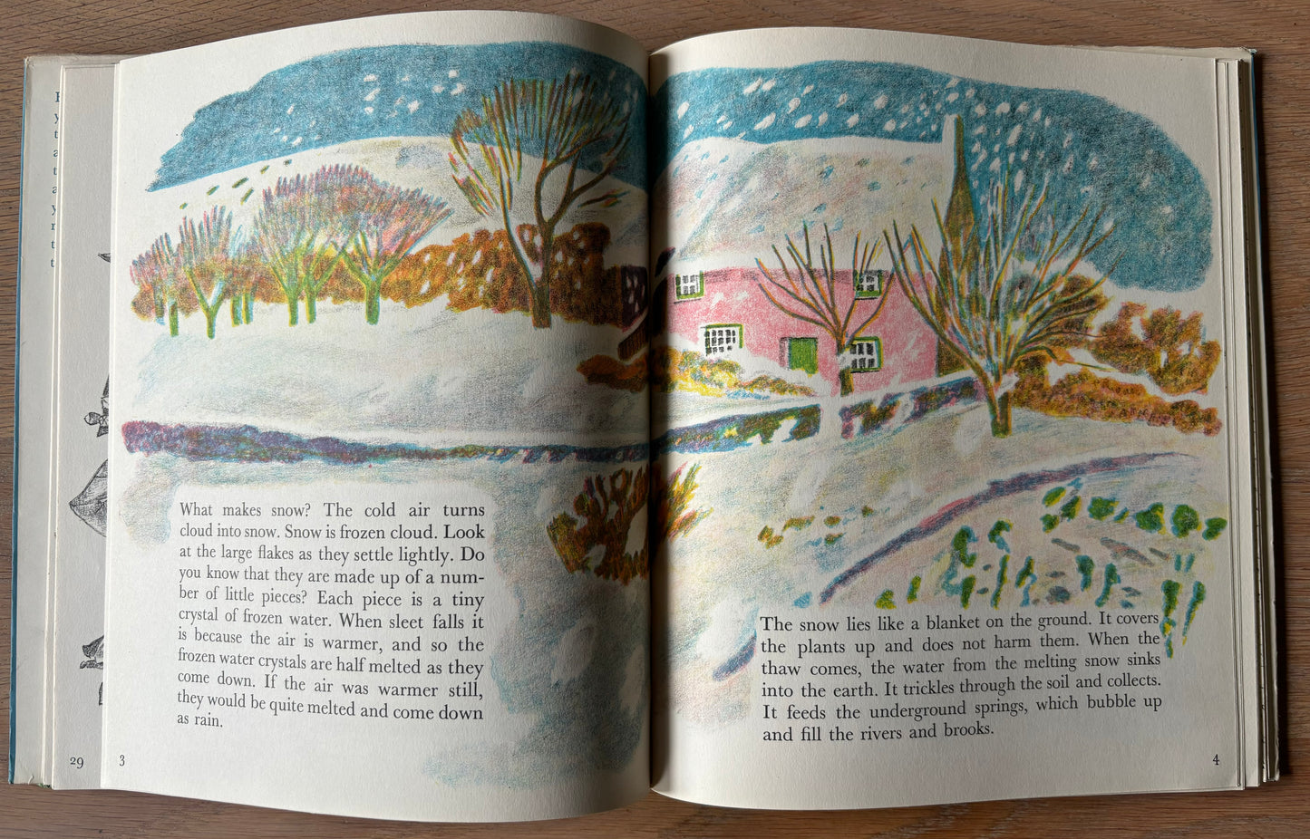 Trekkie Ritchie Parsons LIVING THINGS Chatto & Windus NATURE BOOK ILLUS - transpontinebooks