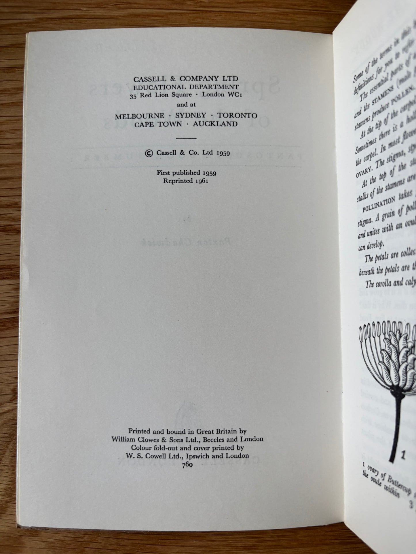 PANTOSCOPE BOOK Spring Flowers of the Woods PAXTON CHADWICK 1961 Cassell