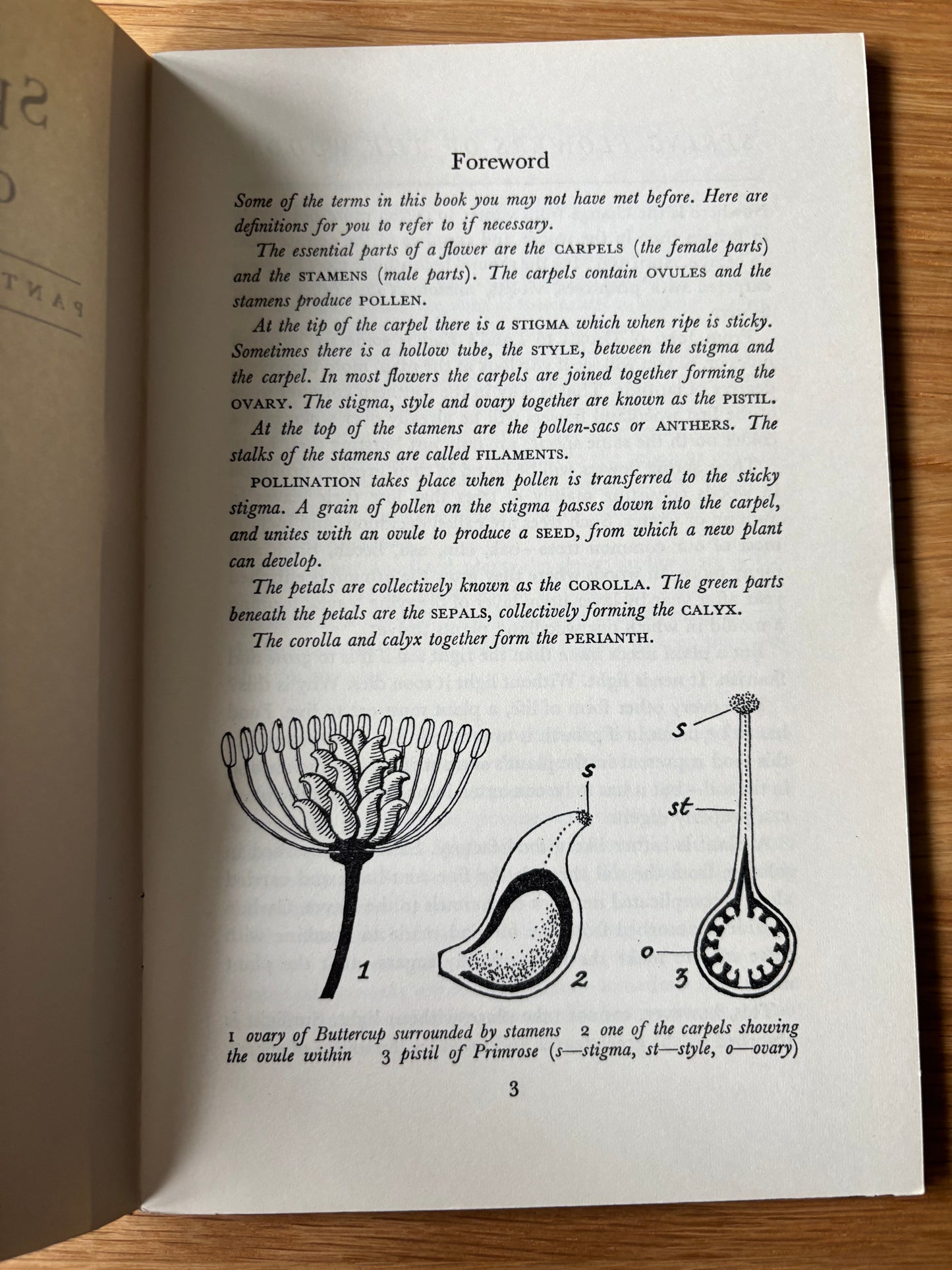 PANTOSCOPE BOOK Spring Flowers of the Woods PAXTON CHADWICK 1961 Cassell