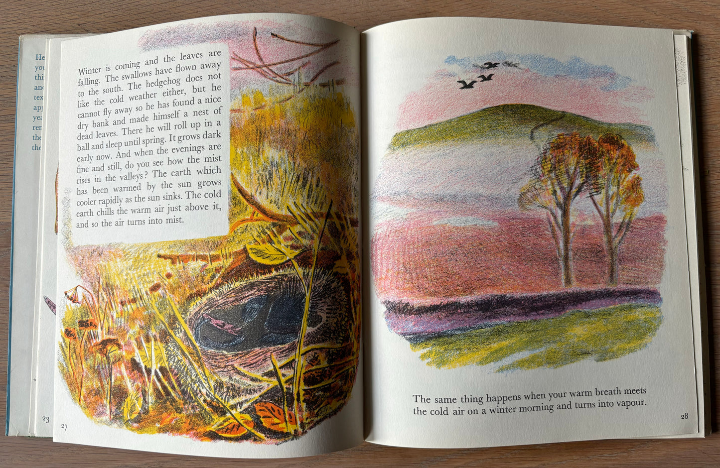 Trekkie Ritchie Parsons LIVING THINGS Chatto & Windus NATURE BOOK ILLUS - transpontinebooks