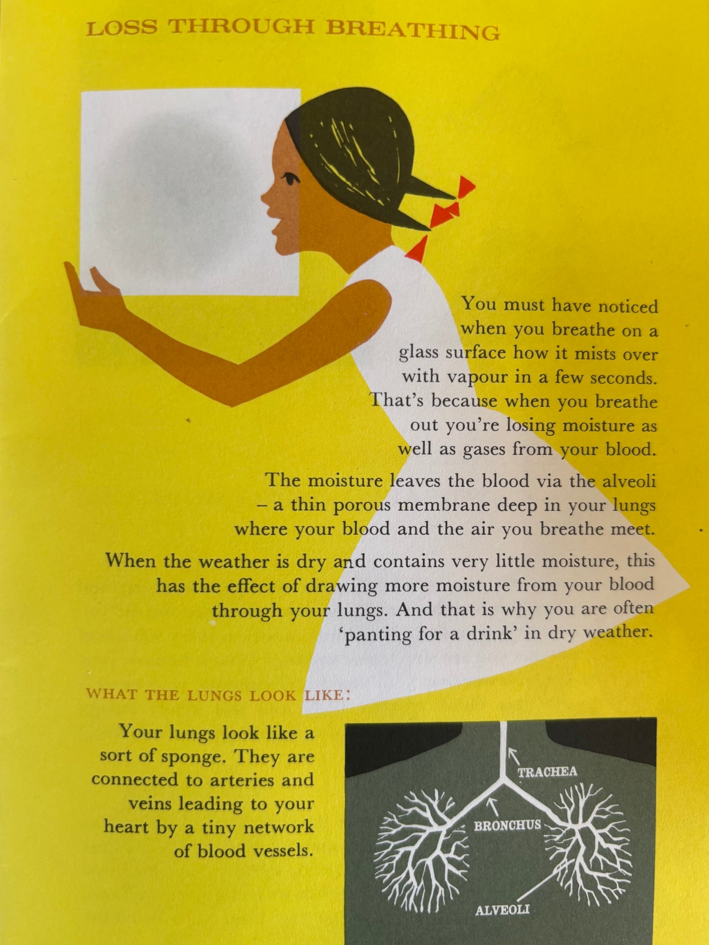 FOCUS ON THIRST Coca-Cola SCIENCE EDUCATION BOOKLET 1970’s
