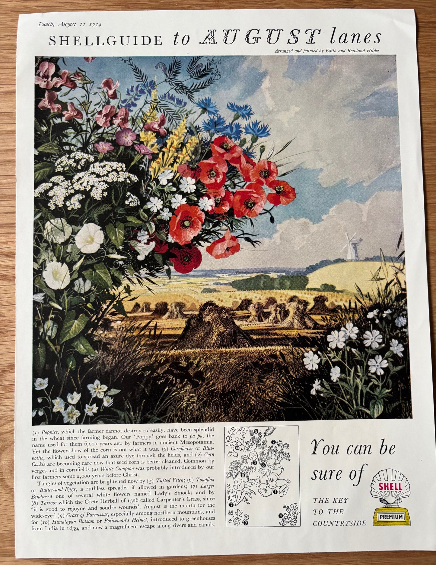 1950's Rowland Hilder SHELL GUIDE TO AUGUST LANES ADVERT Original Ad 1954