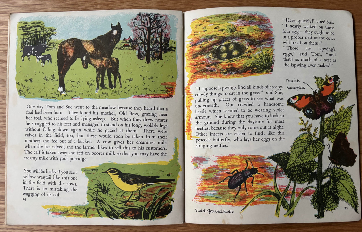 Elsie Few OUT OF DOORS Chatto & Windus NATURE STUDY Jan -Apr Schools Book