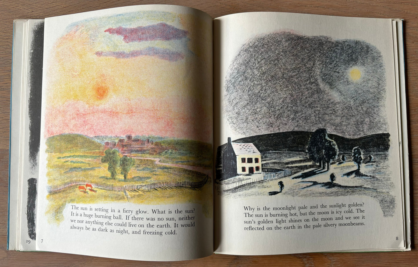 Trekkie Ritchie Parsons LIVING THINGS Chatto & Windus NATURE BOOK ILLUS - transpontinebooks