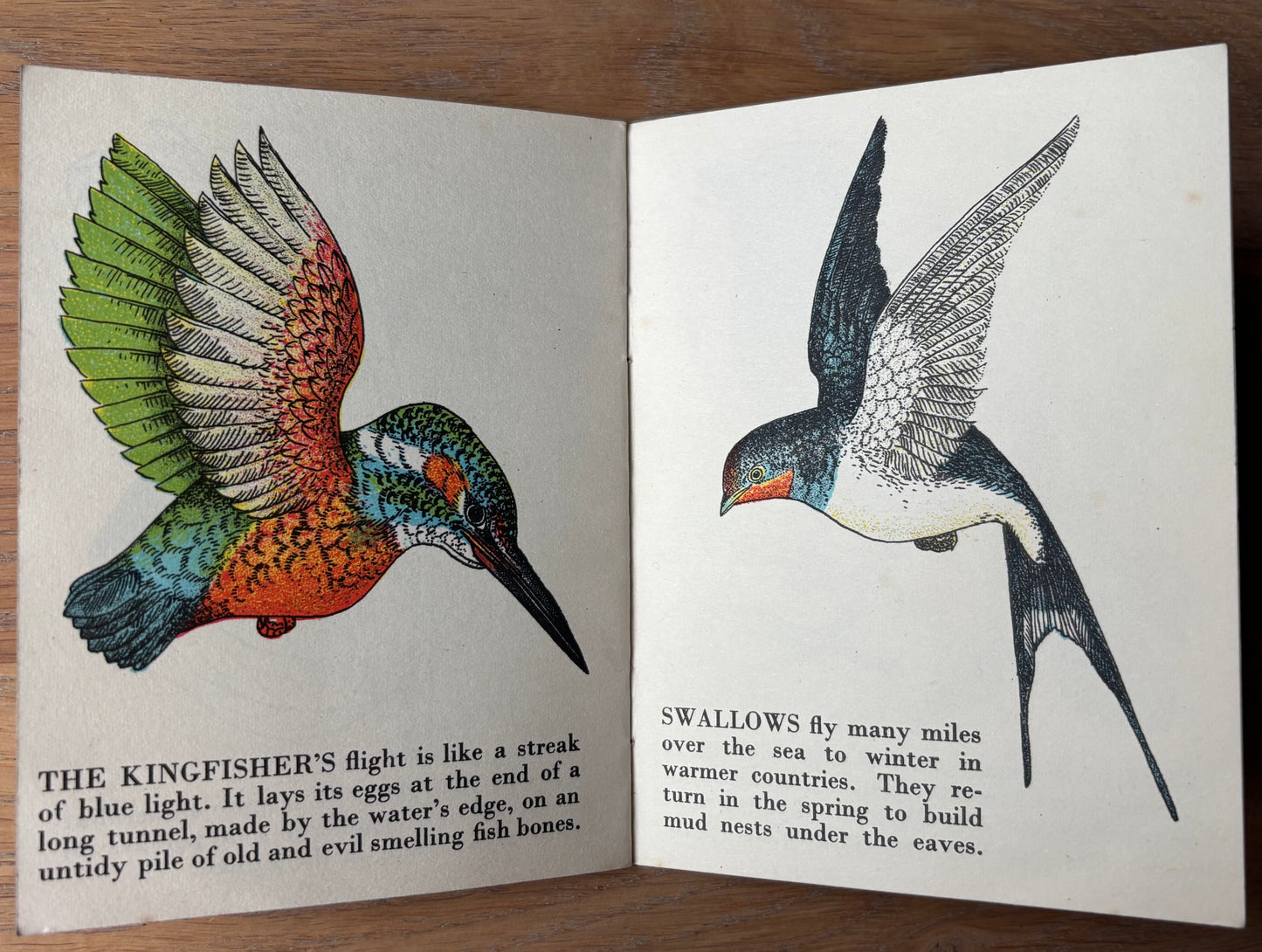 Richard Chopping A BOOK OF PAIRS Bantam Picture Book No 16 Transatlantic Arts Ltd