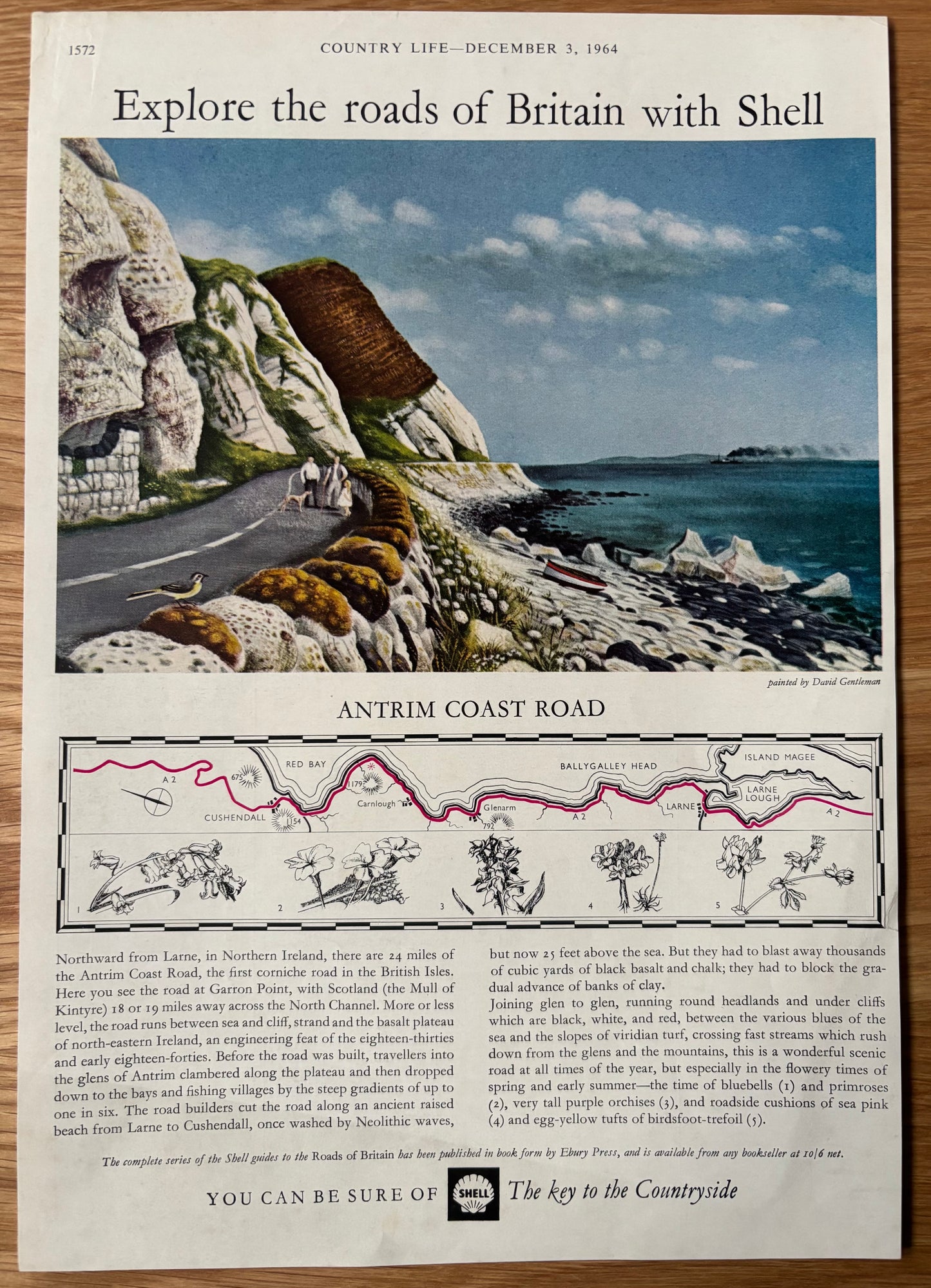 David Gentleman 1960's SHELL GUIDE TO ROADS OF BRITAIN ANTRIM COAST Advert