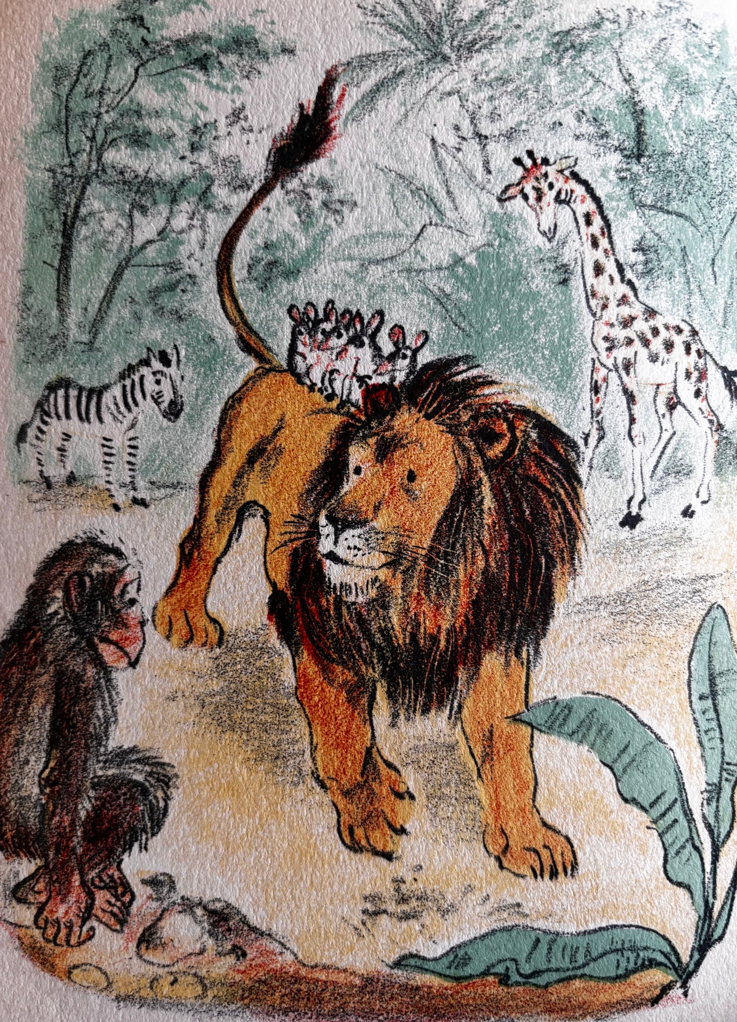 Romain Simon RATATON Albums du Pere Castor Flammarion 1949 LION STORY