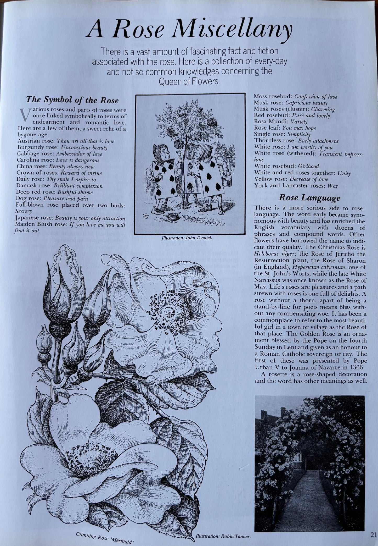 Vintage THE COUNTRY BAZAAR Magazine Spring 1988 Enviroment Ecology Primmy Chorley