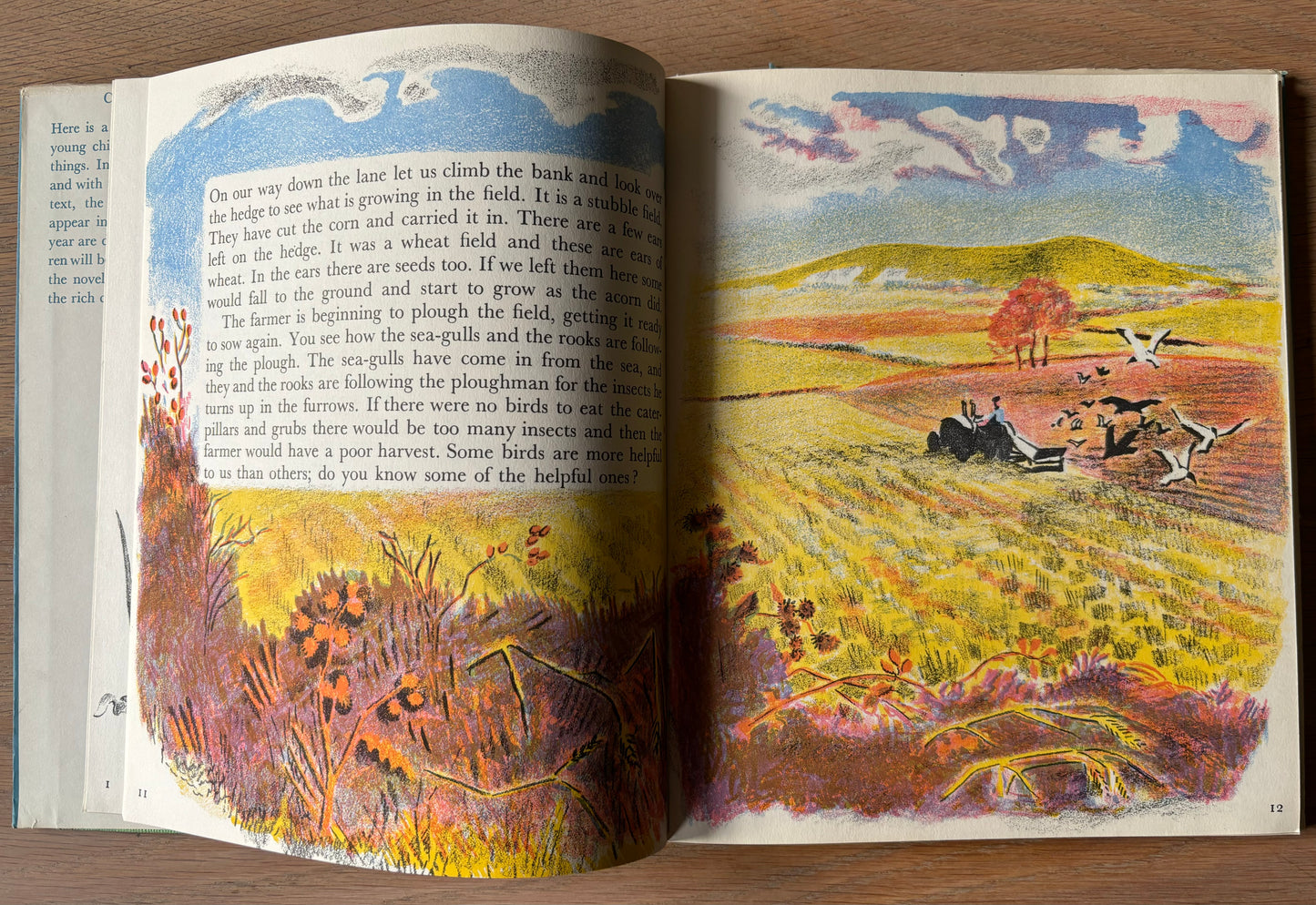 Trekkie Ritchie Parsons LIVING THINGS Chatto & Windus NATURE BOOK ILLUS - transpontinebooks