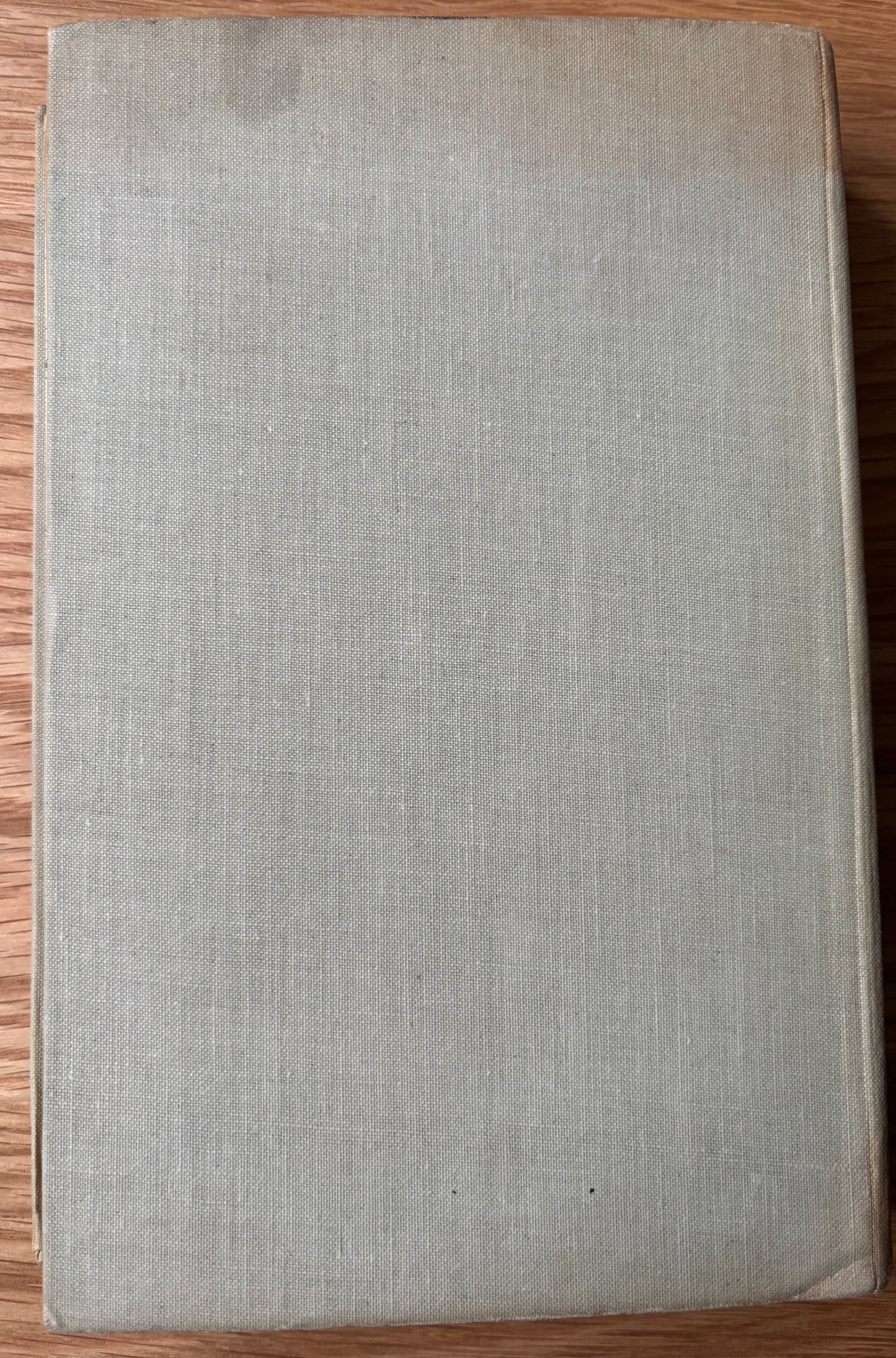 Mary Gardiner THE BLAKES AND THE BLACKETTS Grace James 1939 1st Ed DJ ILLUSTRATED