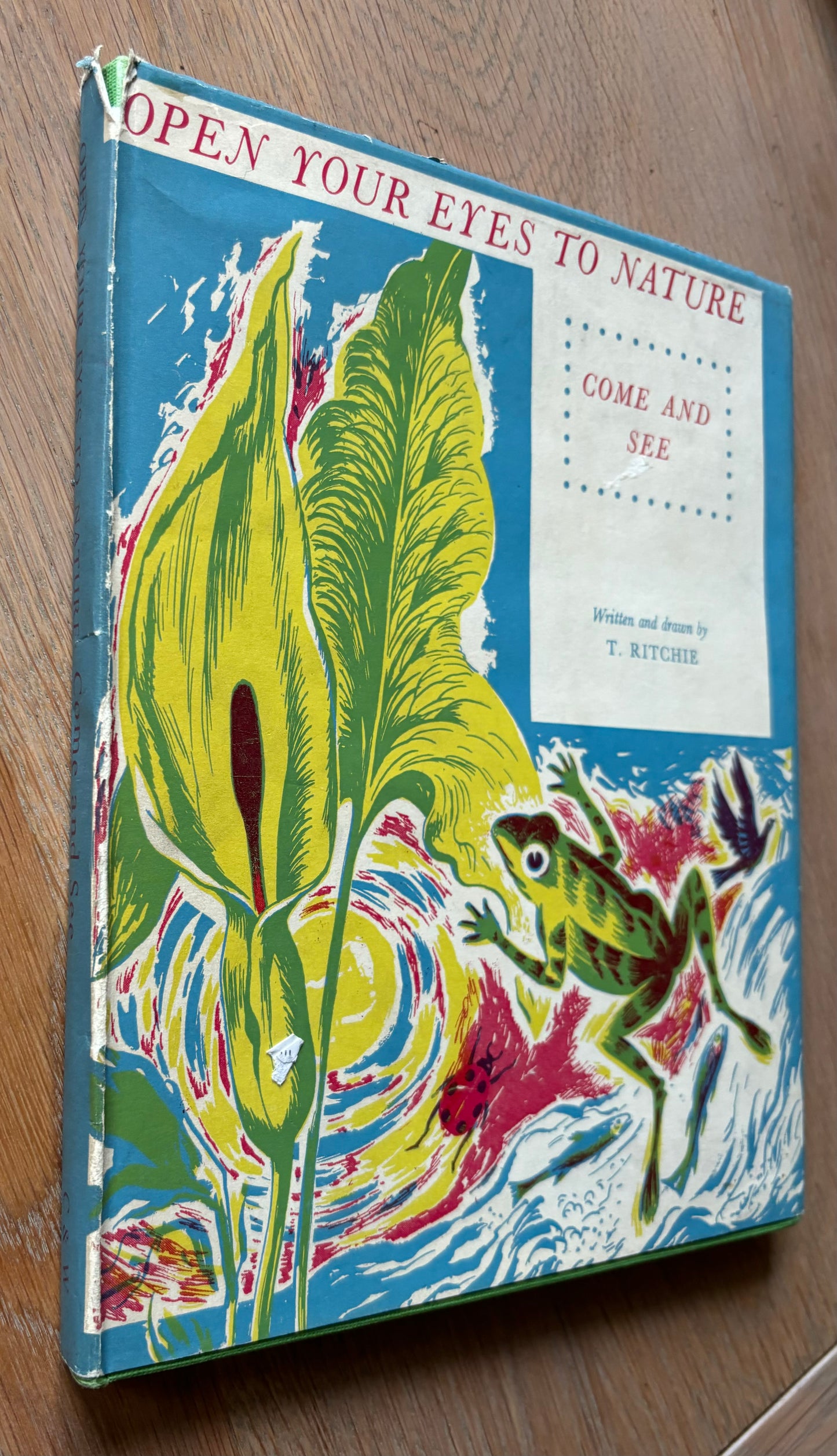 Trekkie Ritchie Parsons LIVING THINGS Chatto & Windus NATURE BOOK ILLUS - transpontinebooks