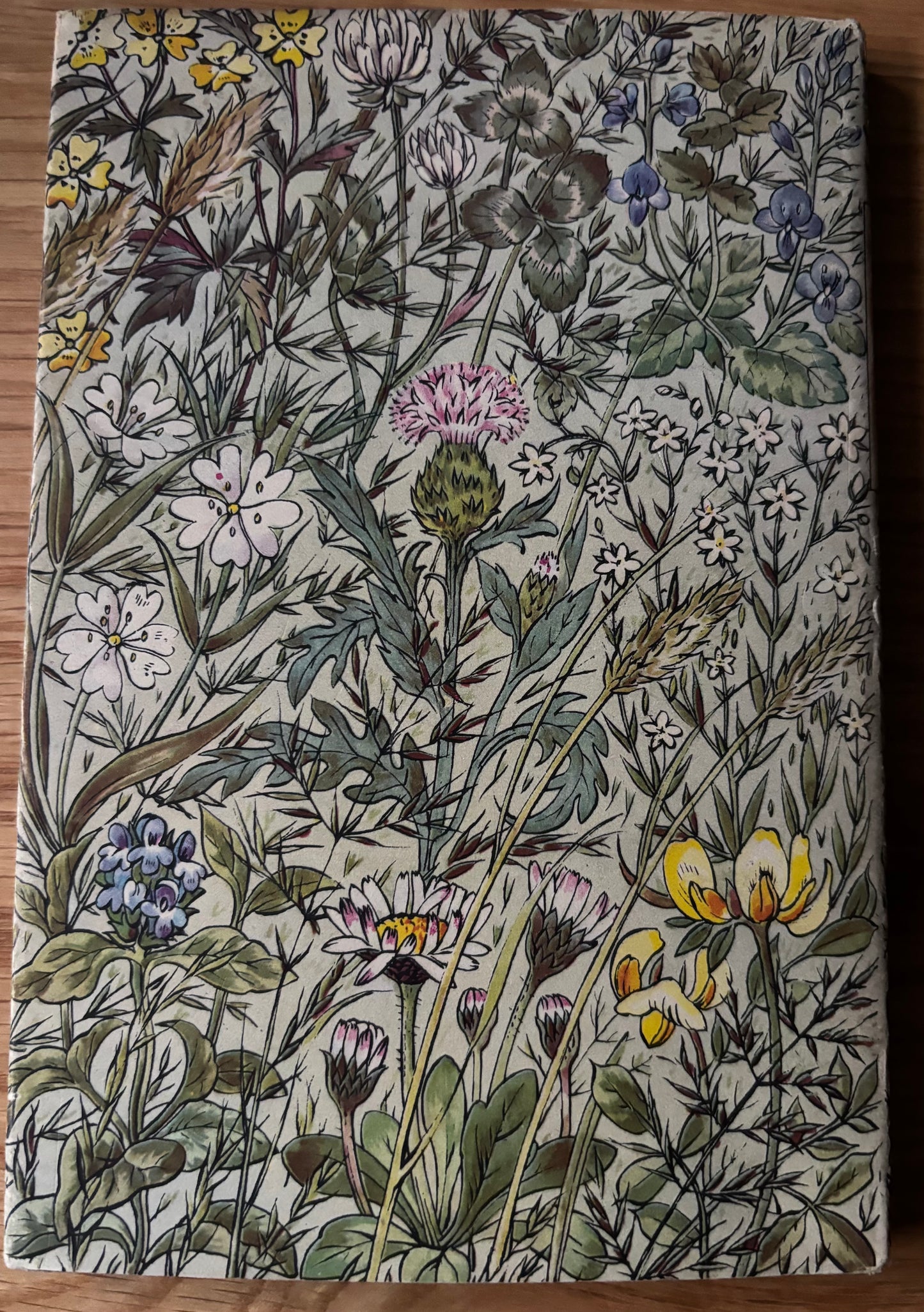 Robin Tanner FLOWERS OF THE MEADOW King Penguin Book DJ 1950 Geoffrey Grigson