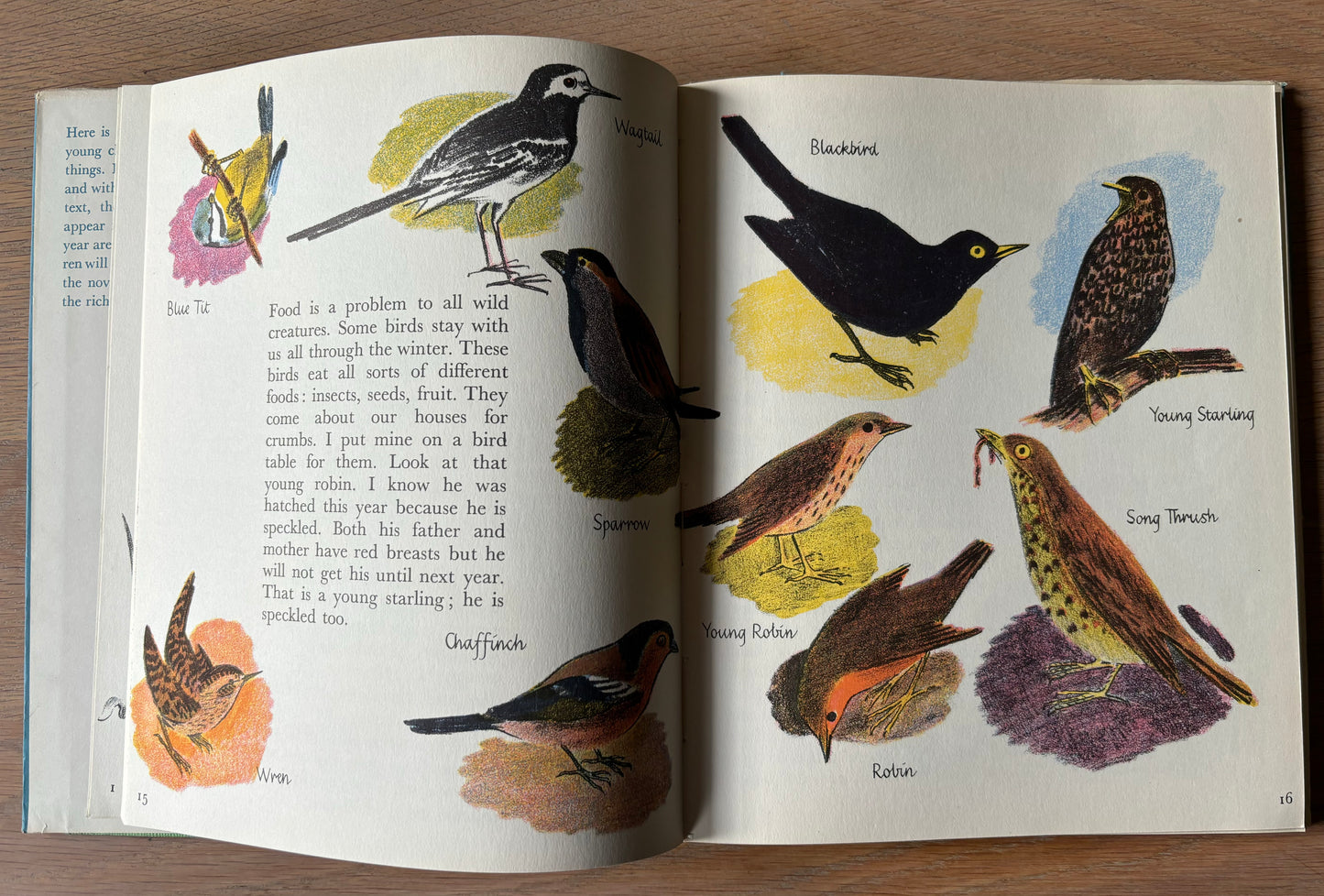 Trekkie Ritchie Parsons LIVING THINGS Chatto & Windus NATURE BOOK ILLUS - transpontinebooks