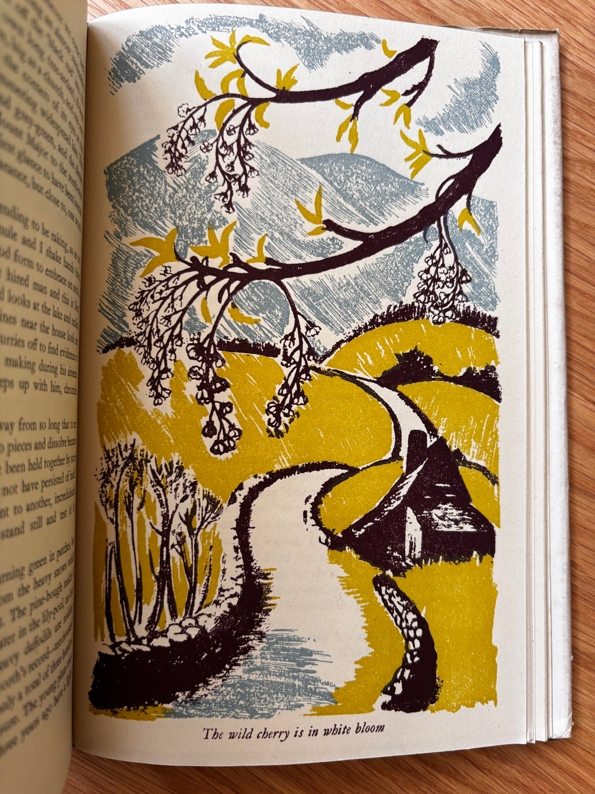 Clare Leighton GREEN CORNERS 1947 1st HB DJ ILLUSTRATED Bertha Damon Gardening