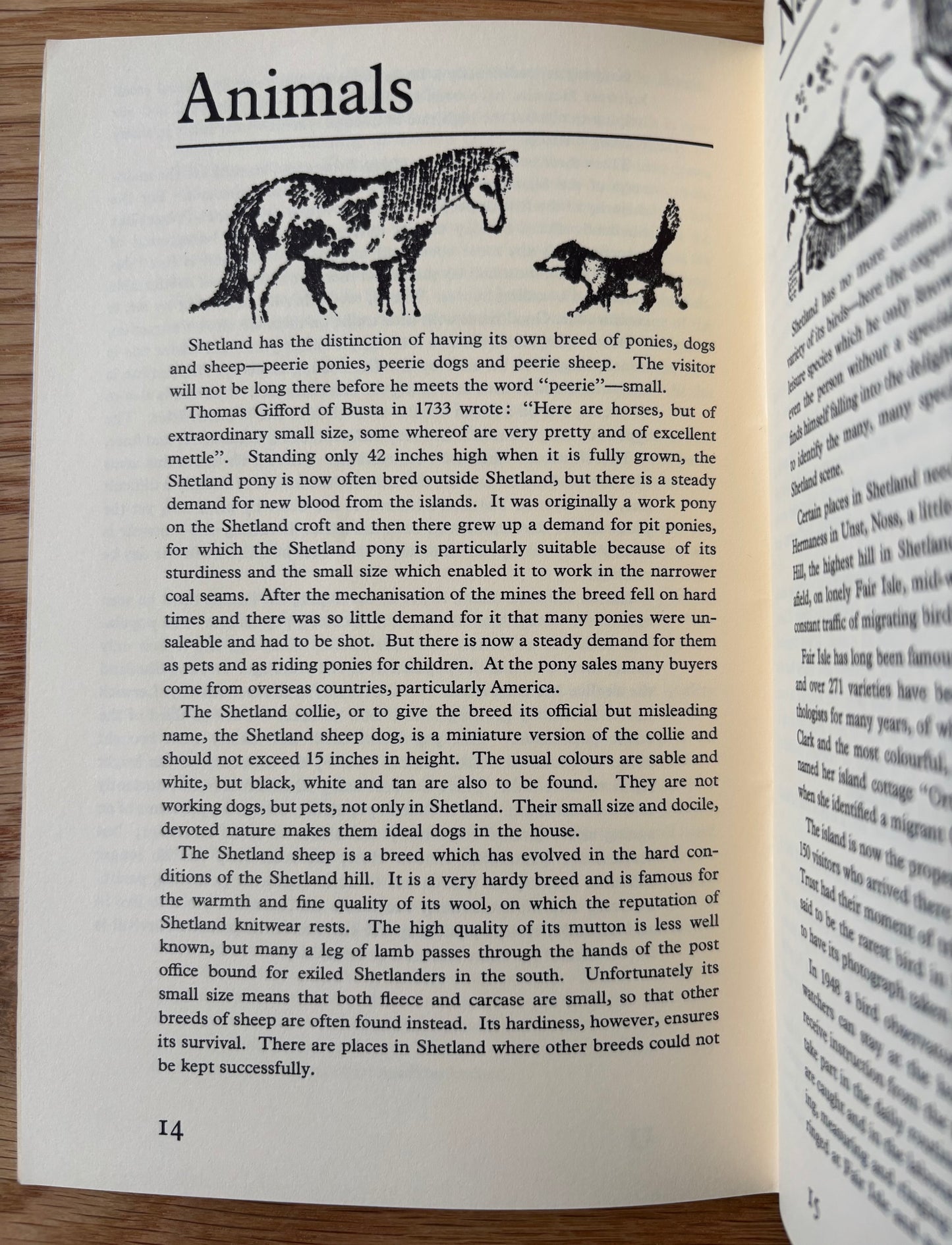 Vintage SHETLAND TOURIST GUIDE Lerwick TRAVEL Illustrated Association Lerwick