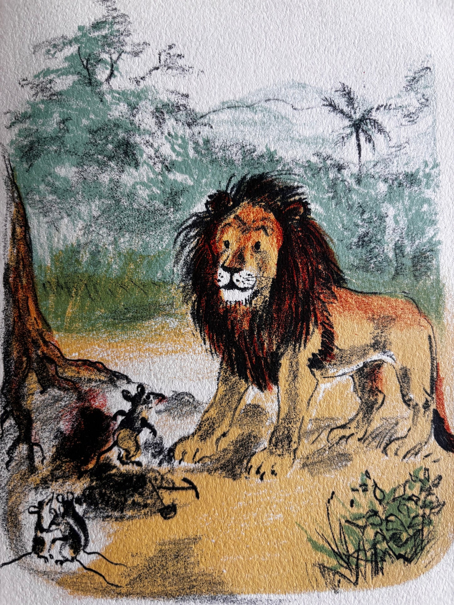 Romain Simon RATATON Albums du Pere Castor Flammarion 1949 LION STORY