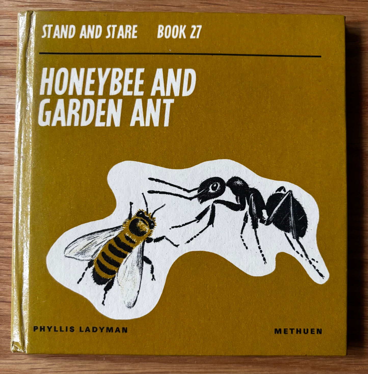 Phyllis Ladyman HONEYBEE AND GARDEN ANT Stand & Stare Book 27 BEES 1971 Illus