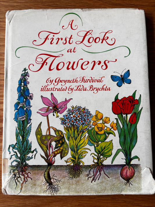 Lida Brychta A FIRST LOOK AT FLOWERS 1st Ed DJ 1973 Franklin Watts ILLUSTRATED