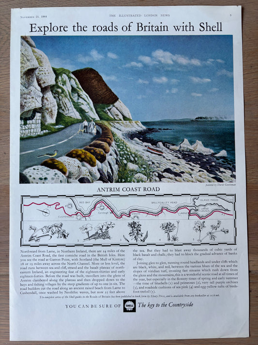 David Gentleman 1960's SHELL GUIDE TO ROADS OF BRITAIN ANTRIM COAST Large Advert