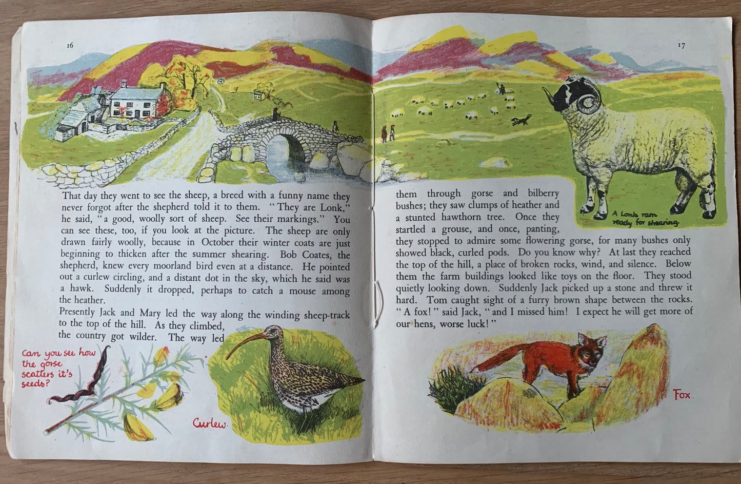 Elsie Few OUT OF DOORS Chatto & Windus NATURE STUDY Aug - Dec School Book - transpontinebooks