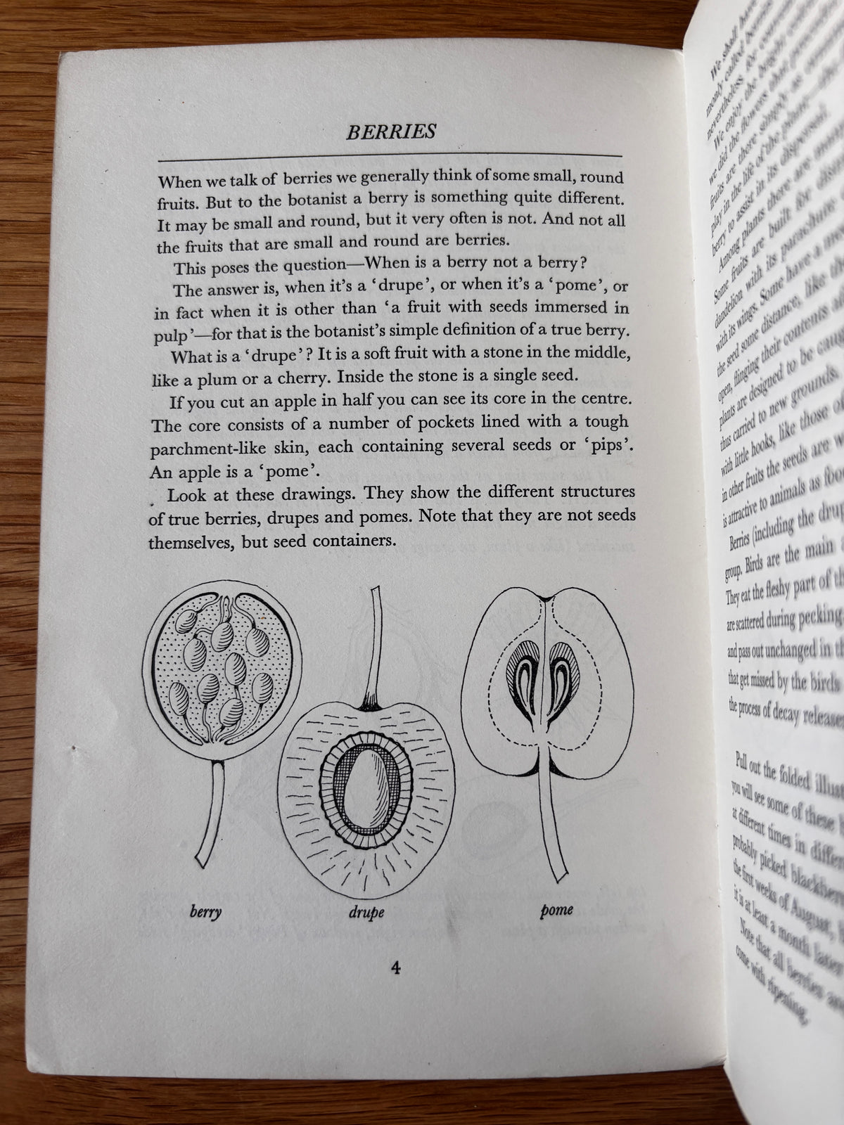 PANTOSCOPE BOOK Berries PAXTON CHADWICK 1st Ed 1960 Flower Fruit Cassell