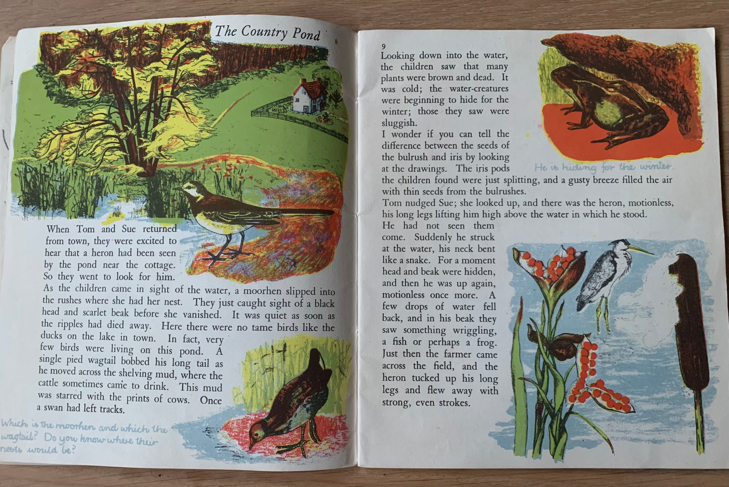 Elsie Few OUT OF DOORS Chatto & Windus NATURE STUDY Aug - Dec School Book - transpontinebooks