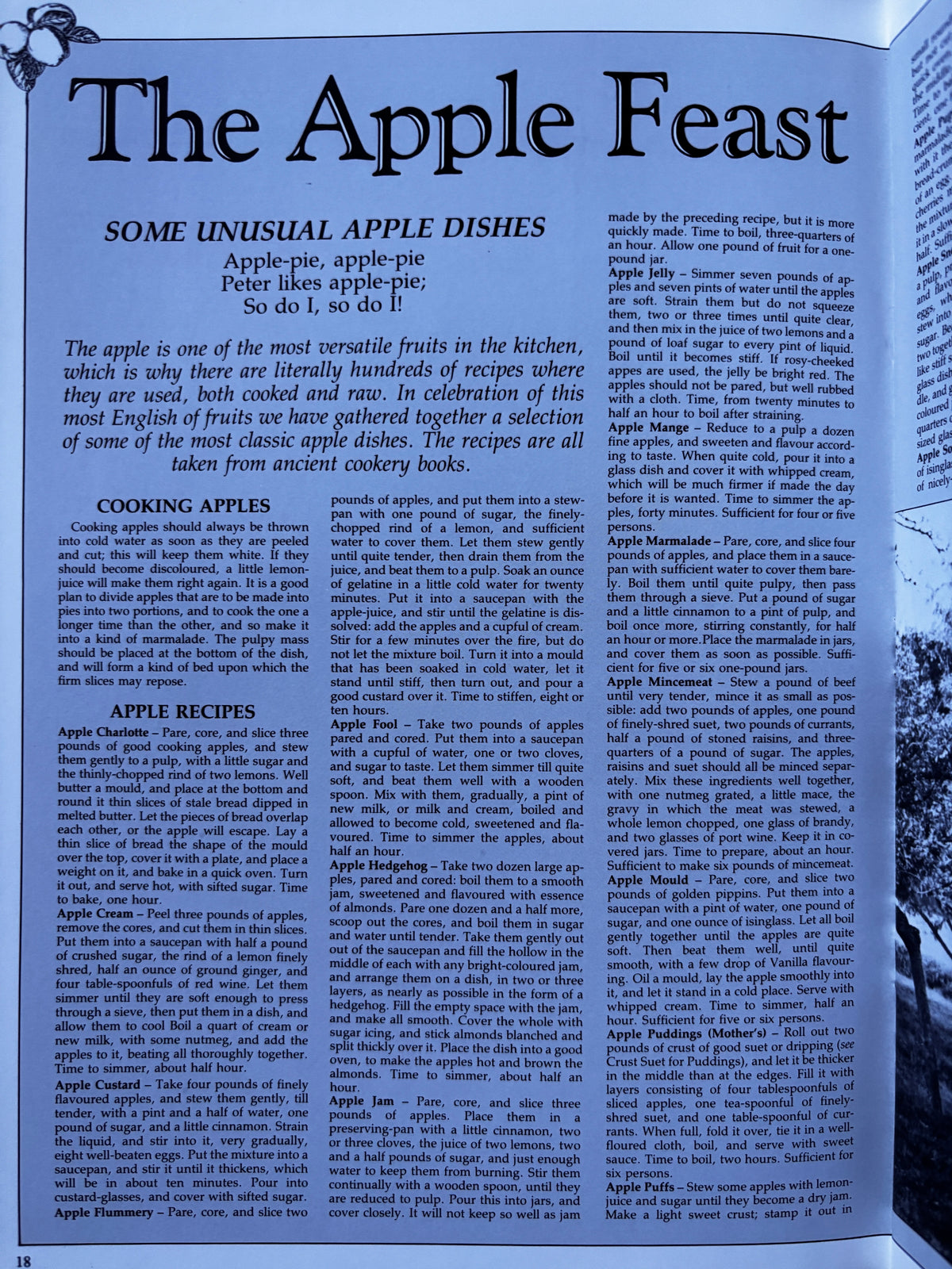 THE COUNTRY BAZAAR Magazine Autumn 1985 Apples Recipes CRAFTS ARTIST