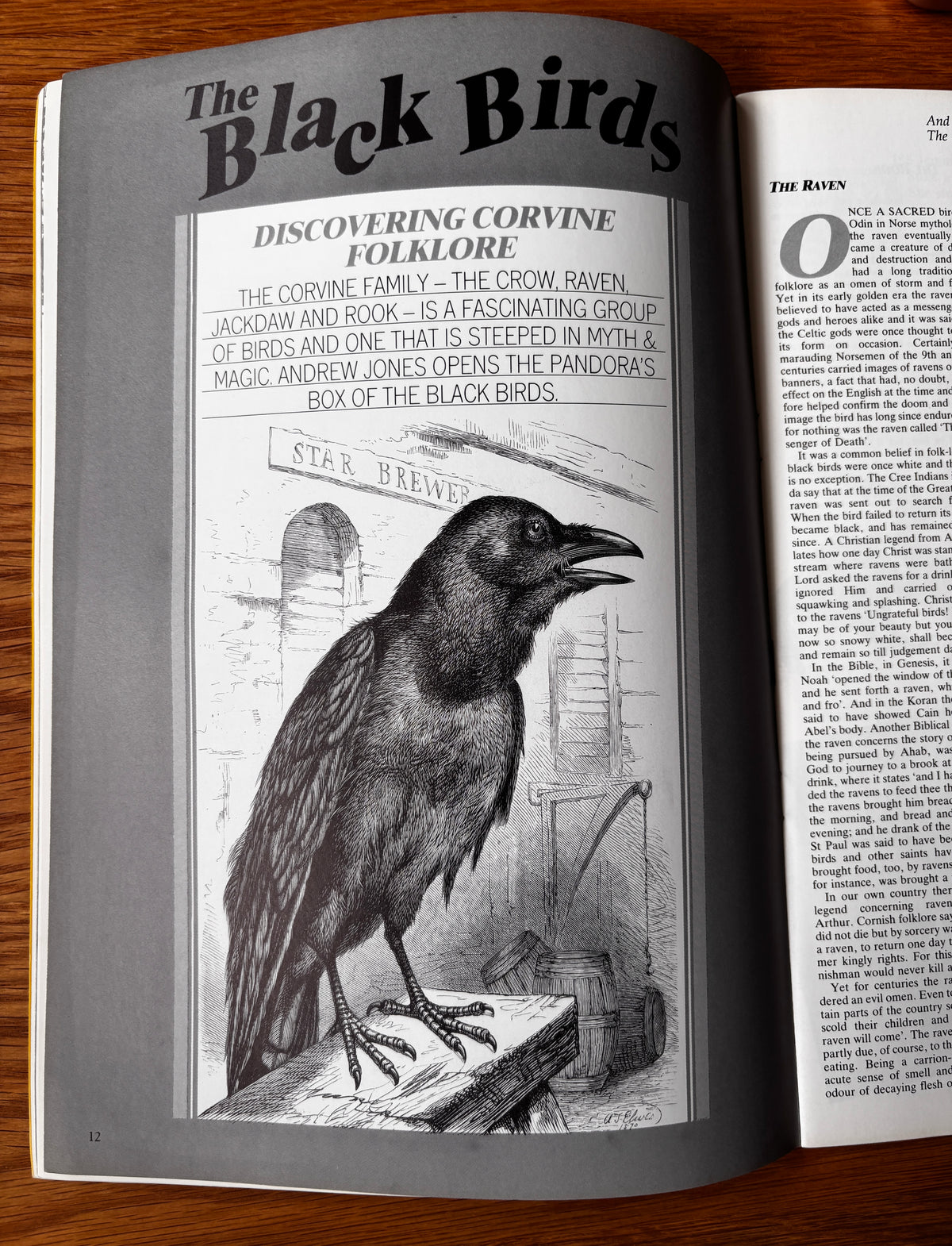 THE COUNTRY BAZAAR Magazine Autumn 1987 Blackbirds Ditchling CRAFTS ARTIST