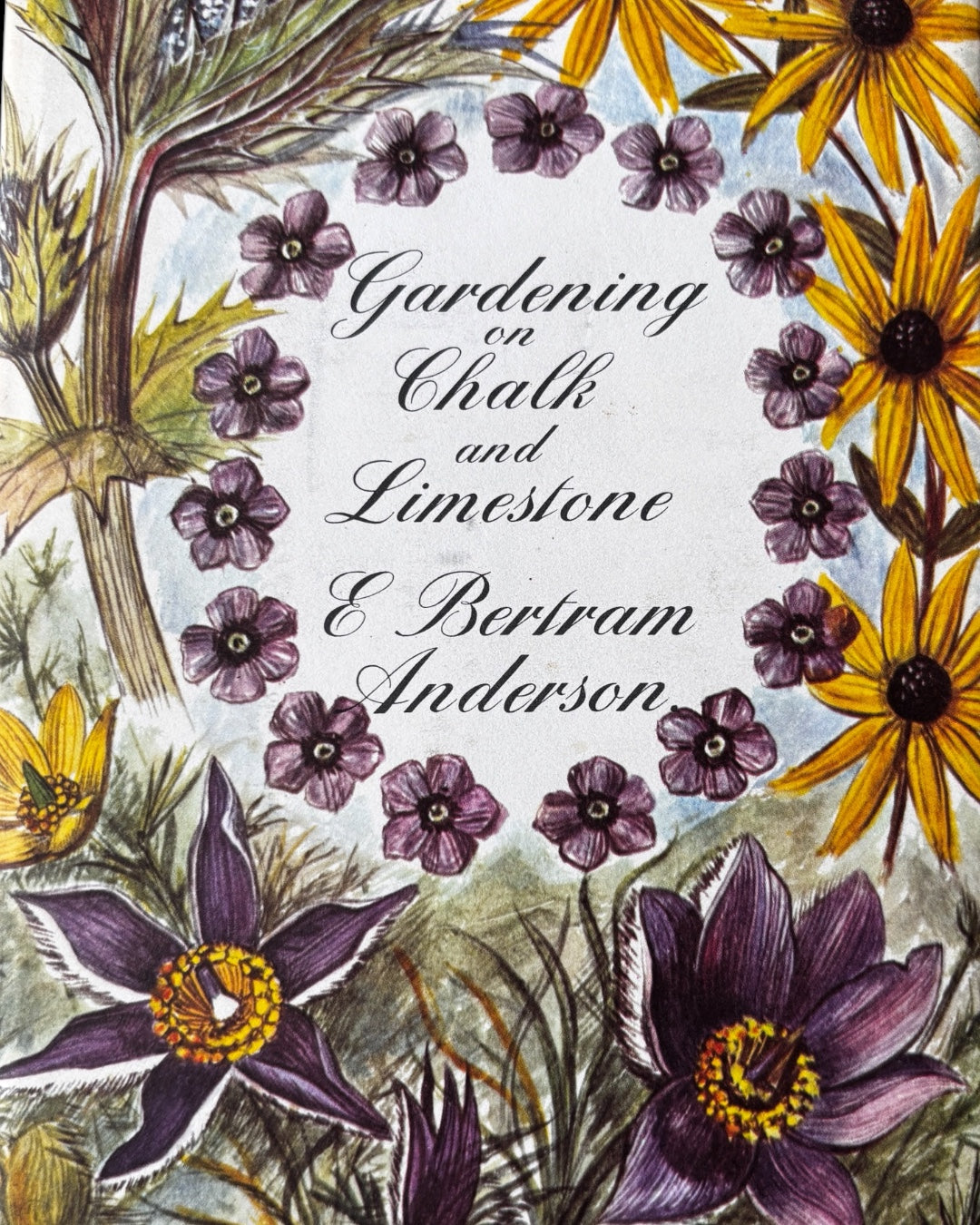 Elizabeth Sorrell GARDENING ON CHALK & LIMESTONE 1st DJ 1965 E Bertram Anderson