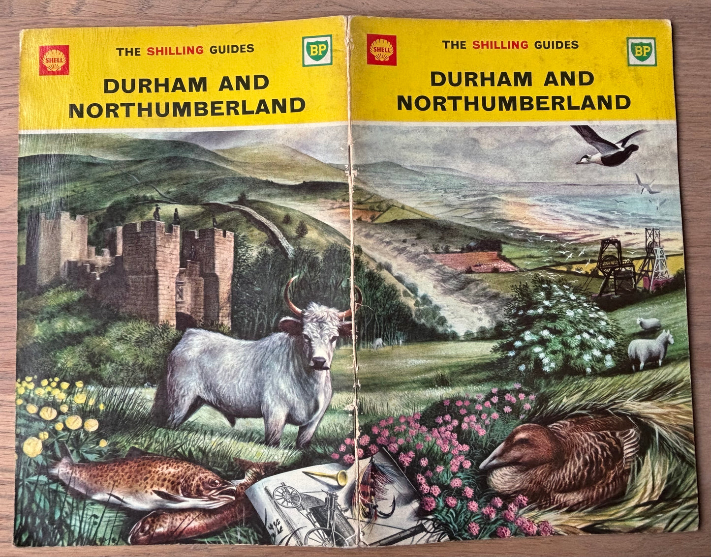 Barry Driscoll DURHAM & NORTHUMBERLAND SHELL SHILLING GUIDE 1964 Illustrated