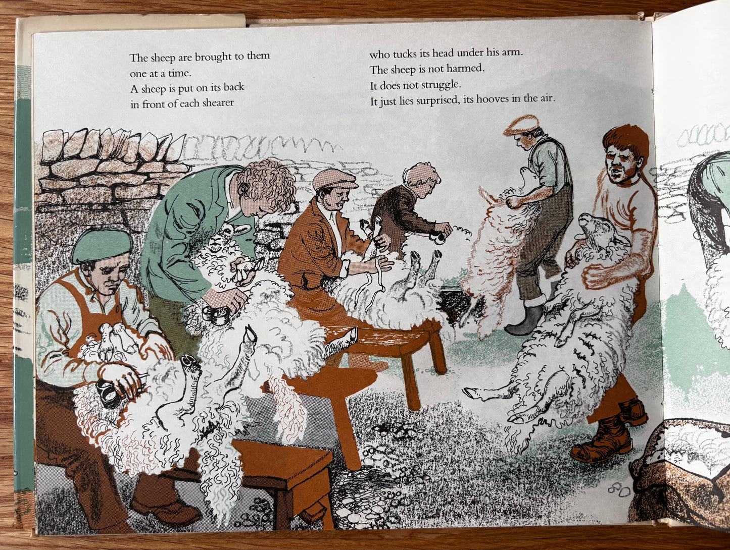 Juliette Palmer MOUNTAIN WOOL DJ 1st 1974 MacMillan SHEEP FARMING COUNTRY LIFE