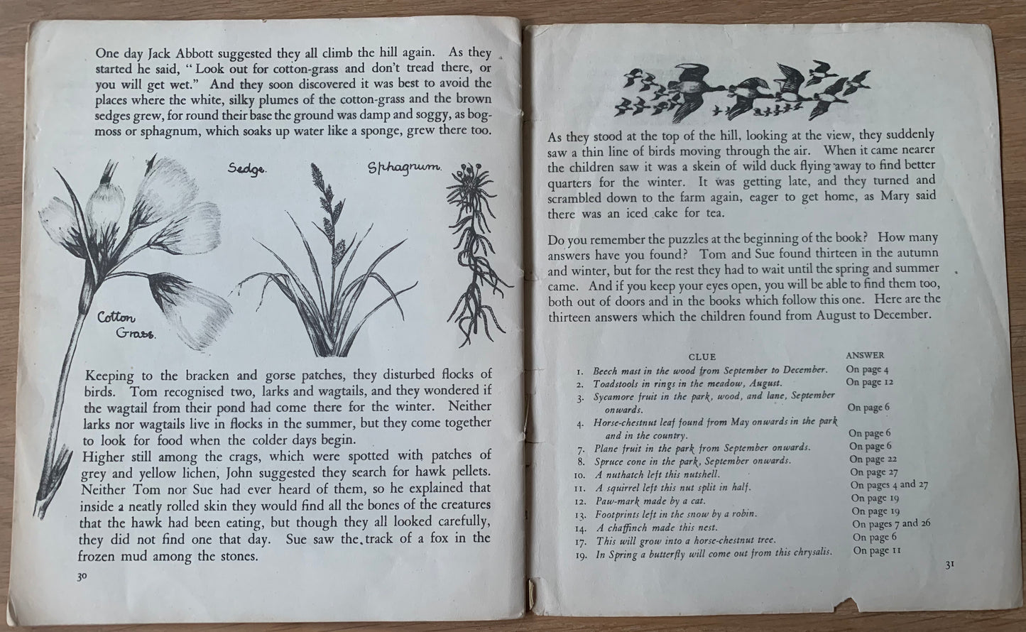 Elsie Few OUT OF DOORS Chatto & Windus NATURE STUDY Aug - Dec School Book - transpontinebooks