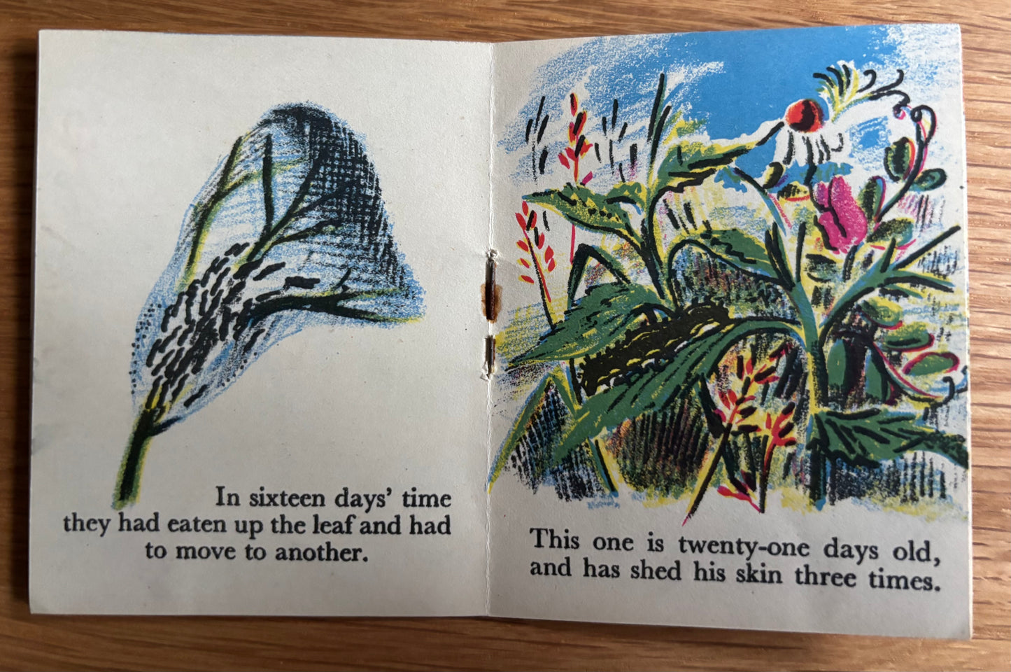 Midget Book THE BUTTERFLY Chatto & Windus 1930's TREKKIE RITCHIE Miniature