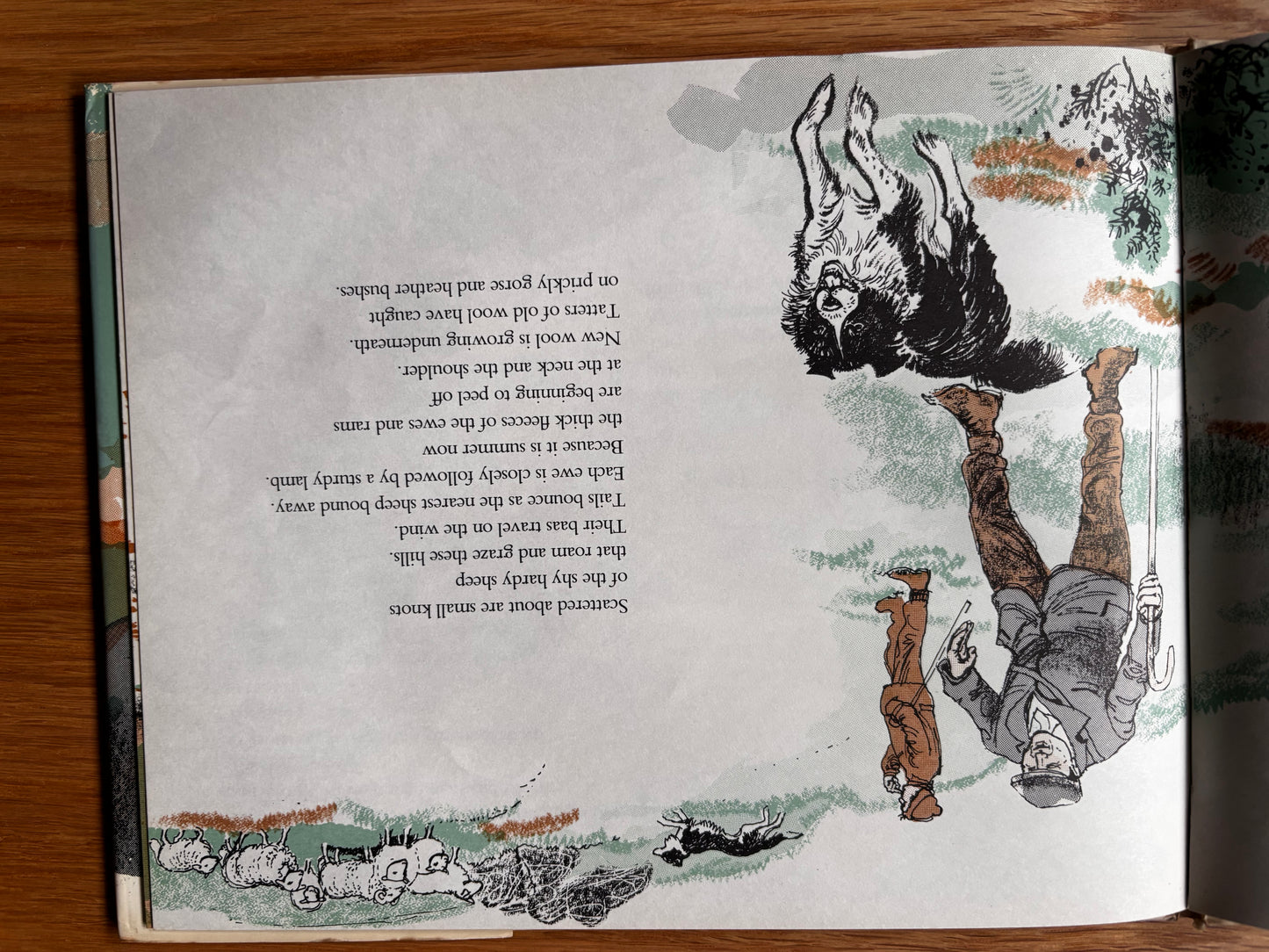 Juliette Palmer MOUNTAIN WOOL DJ 1st 1974 MacMillan SHEEP FARMING COUNTRY LIFE