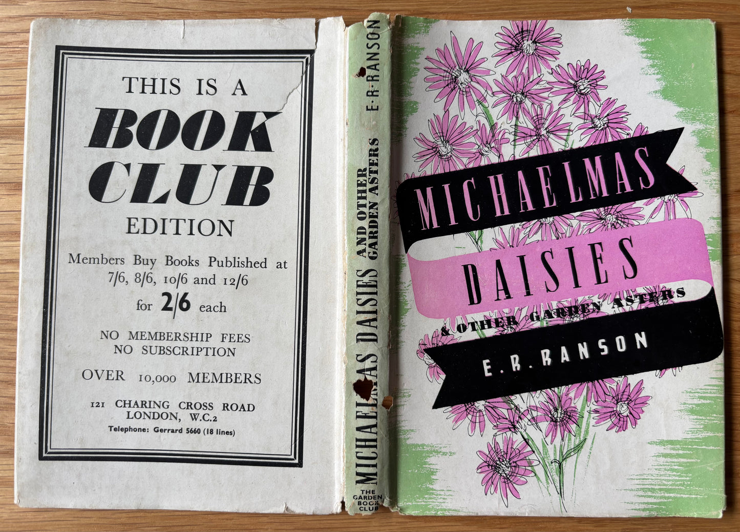 E R Ranson MICHAELMAS DAISIES & OTHER GARDEN ASTERS 1947 Book Club DJ