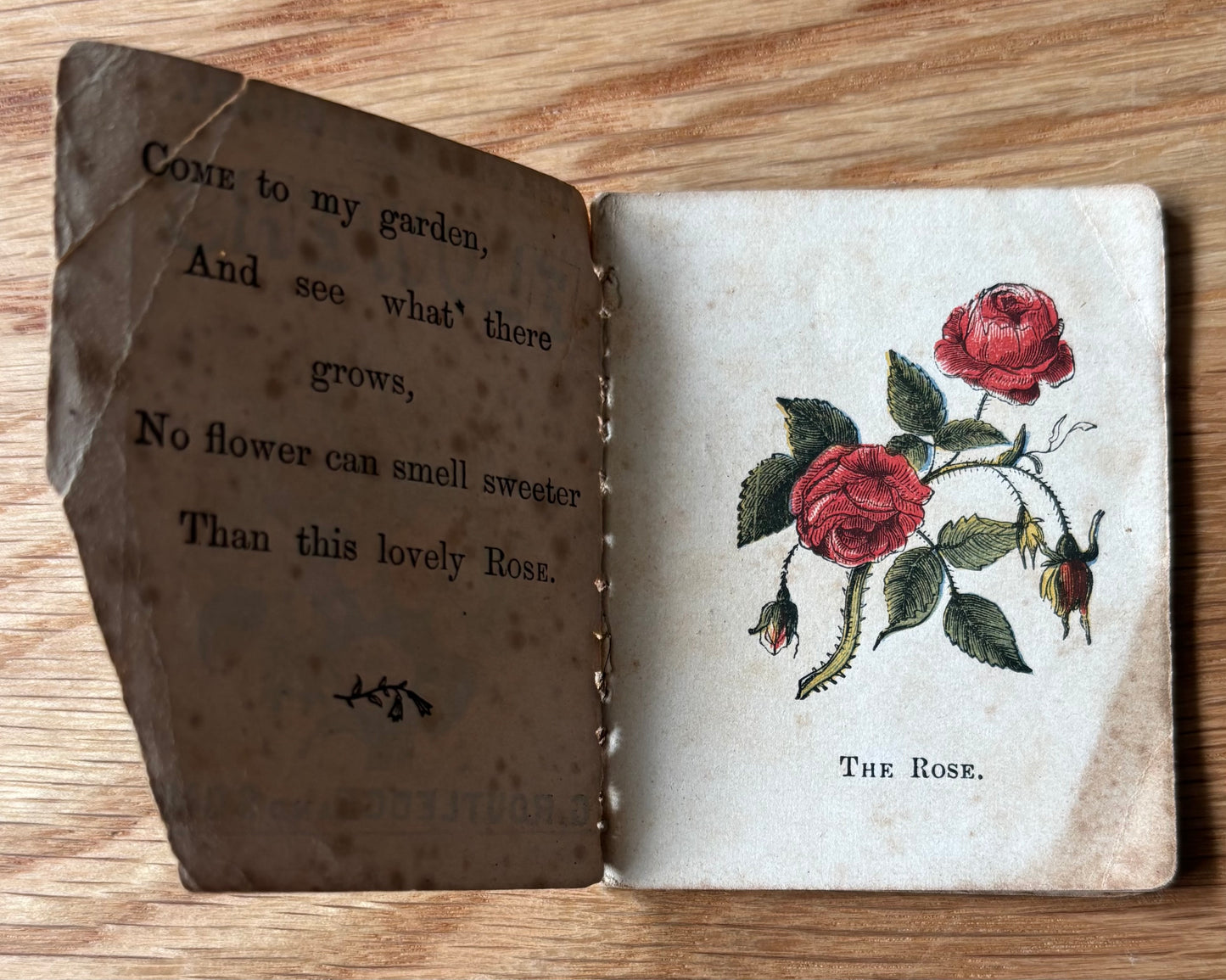 MINIATURE VICTORIAN Nursery Library Flowers BOOK George Routledge