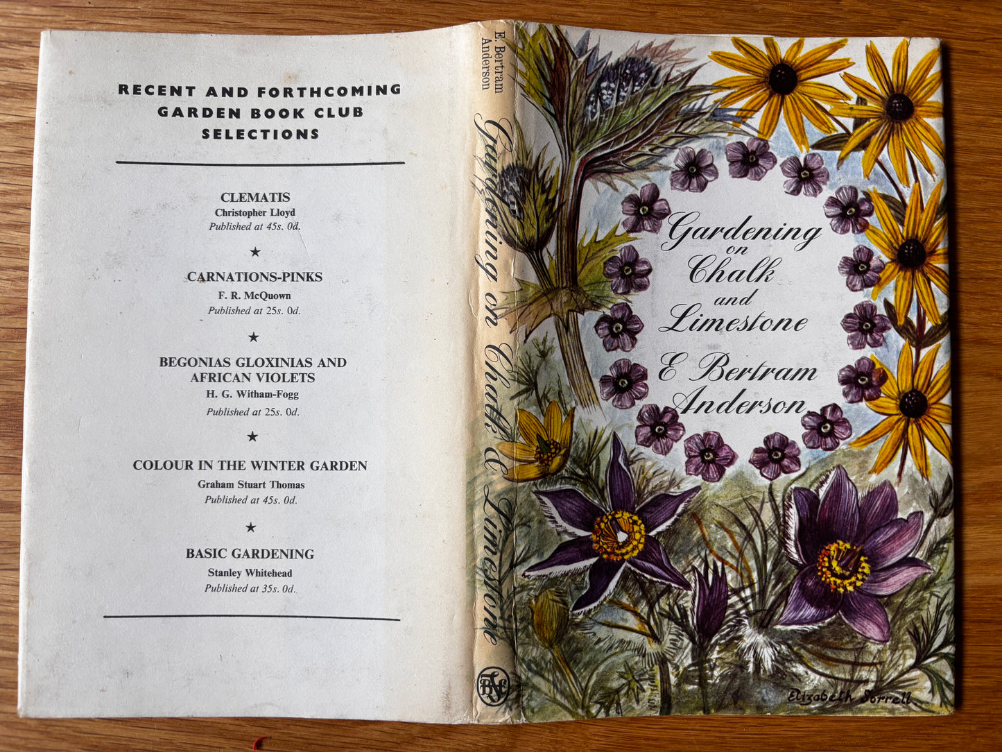 Elizabeth Sorrell GARDENING ON CHALK & LIMESTONE 1st DJ 1965 E Bertram Anderson