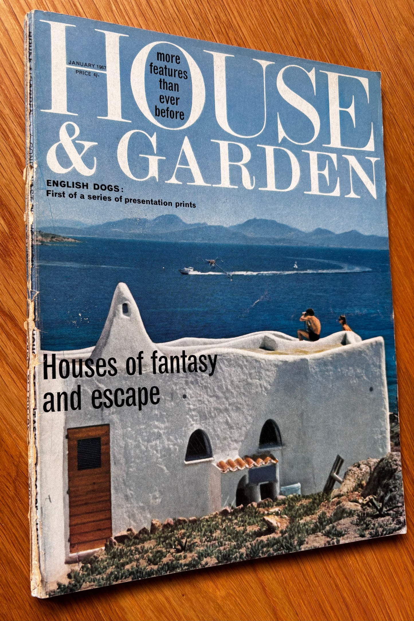 David Gentleman Print HOUSE AND GARDEN Magazine January 1967 Dalmatian Dog